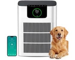 Luchtreiniger HEPA-filter Actieve Koolfilter - 330 m³/h Capaciteit - 100 m² Oppervlak - Elektrisch Snoer - Voor Allergieën En Huishoudens