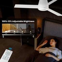 Stille Plafondventilator met Verlichting en Afstandsbediening, 107 cm, Dimbaar en Omkeerbaar — thumbnail 5