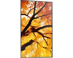 Sharp MultiSync M552 Digitale signage flatscreen 139,7 cm (55") LCD 550 cd/m² 4K Ultra HD Zwart Touchscreen