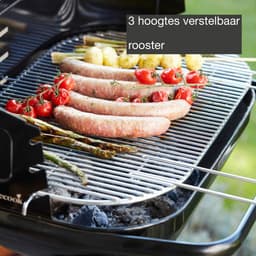 Barbecook Loewy 55 - Houtskool BBQ barbecue - Grilloppervlak 55x33cm - Incl. Windscherm, BBQ rooster en asopvangpot - Zwart — thumbnail 5