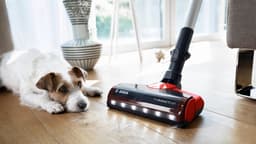 Bosch BCS711PET - Steelstofzuiger - Rood — thumbnail 4