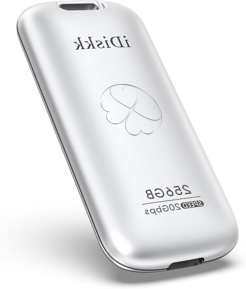 Externe SSD - Draagbare Opslag - Snelle Data Transfer - USB 3.2 Gen 2x2 - 256 GB - Zilverkleurig — afbeelding 1