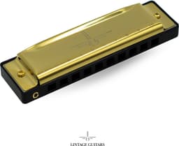 Mondharmonica C voor Volwassenen en Kinderen - Instructieblad - Metallic Gold Blues Harp — thumbnail 5