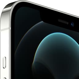 Apple iPhone 12 Pro Max - 256GB - Zilver — thumbnail 4