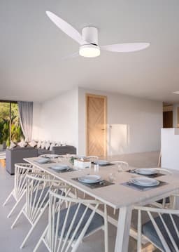 REALITY GOETEBORG - Ventilator - Wit mat - incl. 1x SMD 20 W - Afstandsbediening - Geintegreerde dimmer - Traploos instelbare lichtkleur - Dimbaar met schakelaar - Niet externe dimbaar - Geheugenfunctie - Zomer- en wintermodus - 6 snelheidsniveaus — thumbnail 2