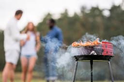 Rechte ronde houtskoolgrill, 41x33.5x46.5cm — thumbnail 5