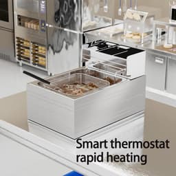 Elektrische Friteuse - Frituurpan Dubbel - Frietjes Bakken - Dubbele Mand - 11 L - Zilver — thumbnail 4