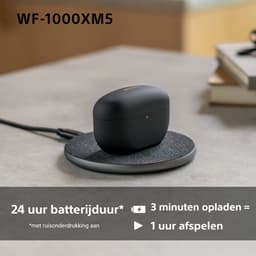 Sony WF-1000XM5 - Volledig draadloze oordopjes met Noise Cancelling (Zilver) — thumbnail 4
