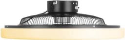 Ceiling fan LRC Black | Lamp en ventilator in 1 | ø 30 cm | 385298 — thumbnail 5