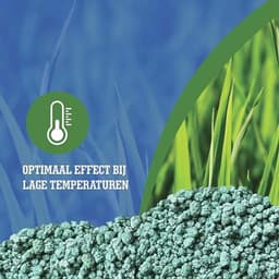 Zomergras Voeding - Dichte, Diepgroene Grasmat zonder Mos en Onkruid - Geschikt voor Robotmaaiers - 150 m2 — thumbnail 4
