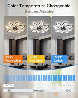 Moderne Plafondventilator met Dimbare LED Verlichting en Zomer-Winter Functie voor Slaapkamer en Keuken — thumbnail 5