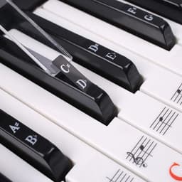 Piano Stickers - Keyboard Stickers - Eenvoudig Muzieknoten Leren - 49/54/61/88 Toetsen - Kleur — thumbnail 2
