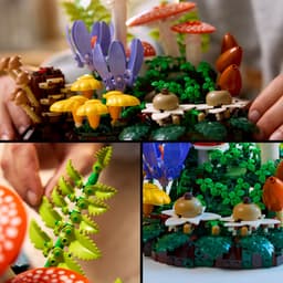 Lego Botanical Collection 11505 Woodland Mushrooms Bouwstenen Multicolor — thumbnail 4