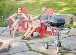 Napoleon TravelQ PRO 285X gas bbq — thumbnail 4