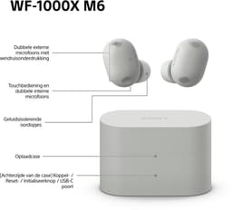 Sony WF-1000XM6 Zilver — thumbnail 4