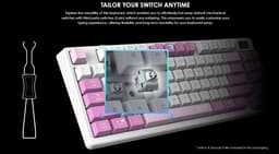 MSI FORGE GK600 TKL W VIOLET US - Gaming Keyboard - Mechanical Linear Switches - RGB LED — thumbnail 2