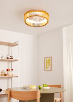 CREATE - Plafondventilator 20W stil Ø58cm richtingsschoepen met LED verlichting - Wit / Licht hout - WIND CRAFT — thumbnail 4