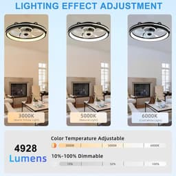 Dimbare Stille Plafondventilator met Licht en Afstandsbediening, 6 Snelheden en Omkeerbare Functie, Ideaal voor Woonkamer en Slaapkamer — thumbnail 3