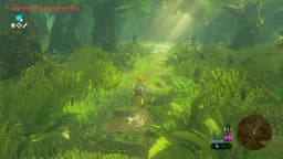 The Legend of Zelda: Breath of the Wild Nintendo Switch 2 Edition — thumbnail 4