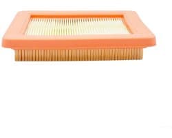 Dailygoods- Luchtfilter Vervanging - Compatibel met GCV145/170/200 - HRU19/HRN216/HRX217 - HRG466 - 17211-Z8B-901 - Motorfilter
