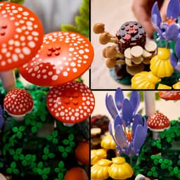 Lego Botanical Collection 11505 Woodland Mushrooms Bouwstenen Multicolor — thumbnail 3