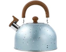 Dailygoods- Theeketel met luid fluitje - Roestvrij staal - Vintage ontwerp - Grote capaciteit 2 liter - Inductieketel - Handige waterinjectie - Waterkoker