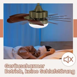 Stille Plafondventilator met Verlichting en Afstandsbediening - 6 Bladen Design Lamp — thumbnail 4