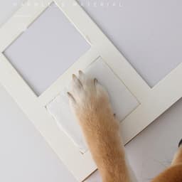 Cosensi - Pootafdruk huisdier souvenir set | Klei kit voor gepersonaliseerd souvenir | Opvouwbare fotolijst voor huisdier liefhebbers (Stijl 1) — thumbnail 4