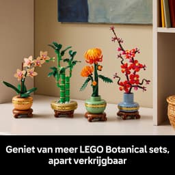 LEGO Botanical Collection - Bamboe Constructiespeelgoed — thumbnail 3
