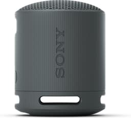 Sony SRS-XB100 Zwart — thumbnail 1