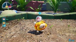 Pikmin 4 – Nintendo Switch 2 Edition + Dandori-academie — thumbnail 2