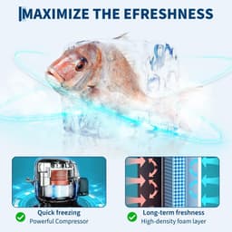 Compacte Diepvrieskast 45L - Vrijstaand - 7 Standen Thermostaat tot -22°C - Omkeerbare Deur - Hoogteverstelbare Schappen - Laag Geluid 40dB - 360° Gelijkmatige Vrieskoeling - voor Kantoor Slaapkamer & Studentenkamer — thumbnail 3