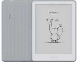 BOOX Go 6 (Gen II) - 6'' e-Reader – Stone - 300 PPI ePaper, Android, Google Play Store, 3 GB RAM, 32 GB opslag, microSD, verstelbare frontverlichting, InkSense Plus-compatibel