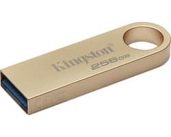 Kingston, USB-Stick 256 GB, Goud