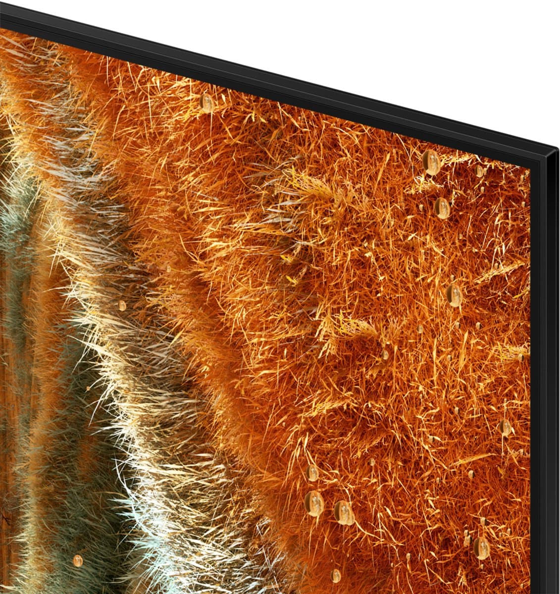 Samsung QE55QN77F - 55 inch - 4K Neo QLED - 2025 - Smart TV — afbeelding 1