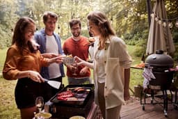 Grill Guru Powerplate — thumbnail 4