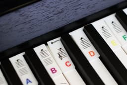 Siliconen Toetsenwijzer piano kleur - verwijderbare stickers — thumbnail 4
