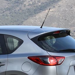 Universele auto-antenne - 23 cm - Inclusief M5 & M6 adapters — thumbnail 4