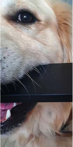 White-label Harde Schijf Extern - Draagbare - 500GB Opslag - Zwart — thumbnail 3