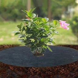 S Mulch voor bomen, 10 stuks, rond, vliesstof, herbruikbaar, voor park, tuin, gazon en binnenplaats, wortelbescherming en controle — thumbnail 3