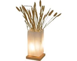 Dimbare tafellamp met melkglazen kap en USB-aansluiting, ideaal voor sfeervolle verlichting in slaapkamer, woonkamer of kantoorruimte