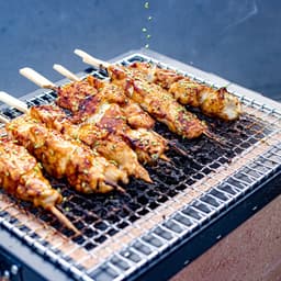 Diatomite Konro Grill - Small (31 x 23 x 20 cm) - Yakitori Grill — thumbnail 3