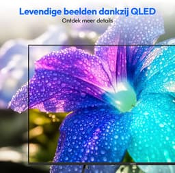 MEDION 125.7 cm 50" QLED TV Smart TV 4K Dolby Vision HDR Prime Video Disney+ Compatibel met Google TV PVR Bluetooth, MD850701 | Dolby Vision HDR, Prime Video, Disney+, kompatibel mit Google TV, PVR, B — thumbnail 4