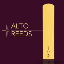2.0 Alt Saxofoon Rietjes – Set van 10 – Rieten voor Altsaxofoon – Sterkte 2.0 – Natuurlijk Bamboe — thumbnail 3