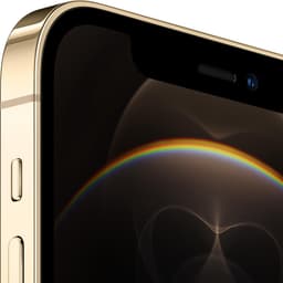 Apple iPhone 12 Pro - 256GB - Goud — thumbnail 4