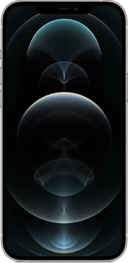 Apple iPhone 12 Pro Max - 256GB - Zilver — thumbnail 2