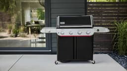 Weber Genesis E-435W — thumbnail 4