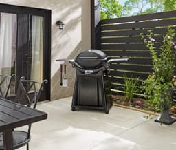 Weber Q 3200N+ met Onderstel — thumbnail 5