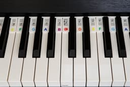 Siliconen Toetsenwijzer piano kleur - verwijderbare stickers — thumbnail 1