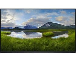 DELL 24 Monitor P2425H 23.8inch
